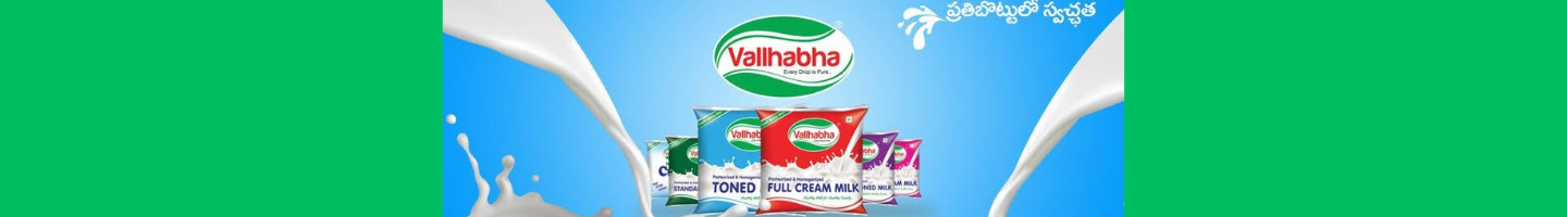 వల్లభ డైరీ రేపల్లె